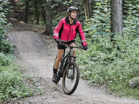 Bicicleta de montaña eléctrica de 709 Wh